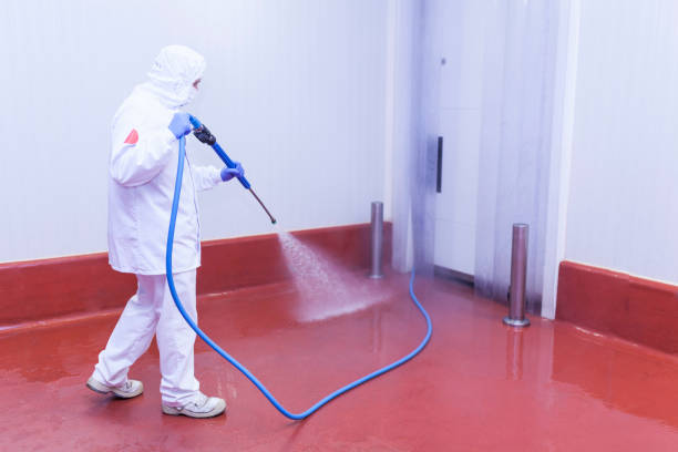 Best Restaurant Pressure Washing  in Chico, TX